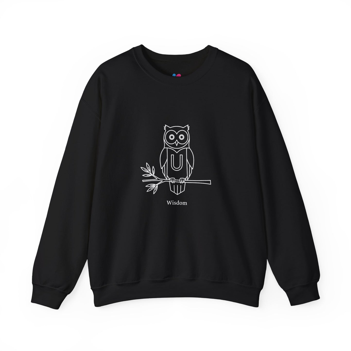 Owl-Themed Unisex Sweatshirt – Cozy Fall Crewneck, Nature Lover Pullover, Relaxed Fit Everyday Apparel