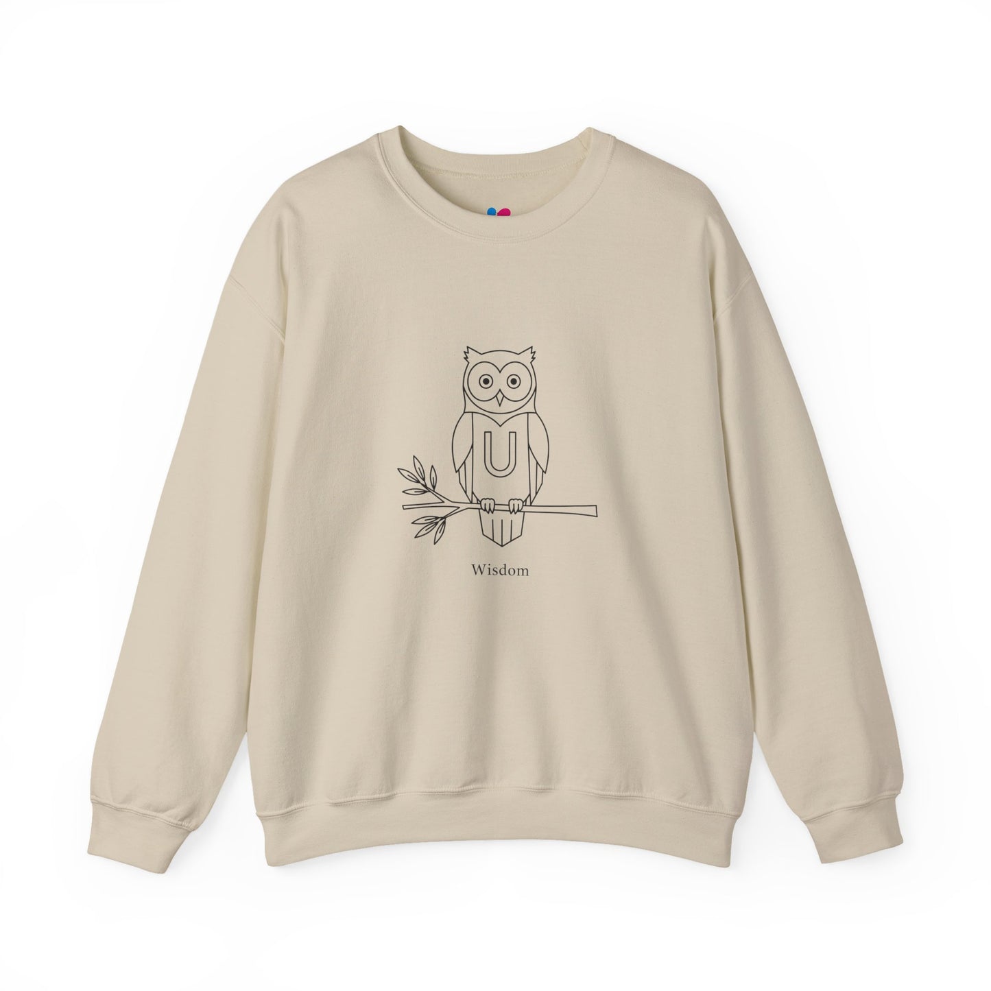 Owl-Themed Unisex Sweatshirt – Cozy Fall Crewneck, Nature Lover Pullover, Relaxed Fit Everyday Apparel
