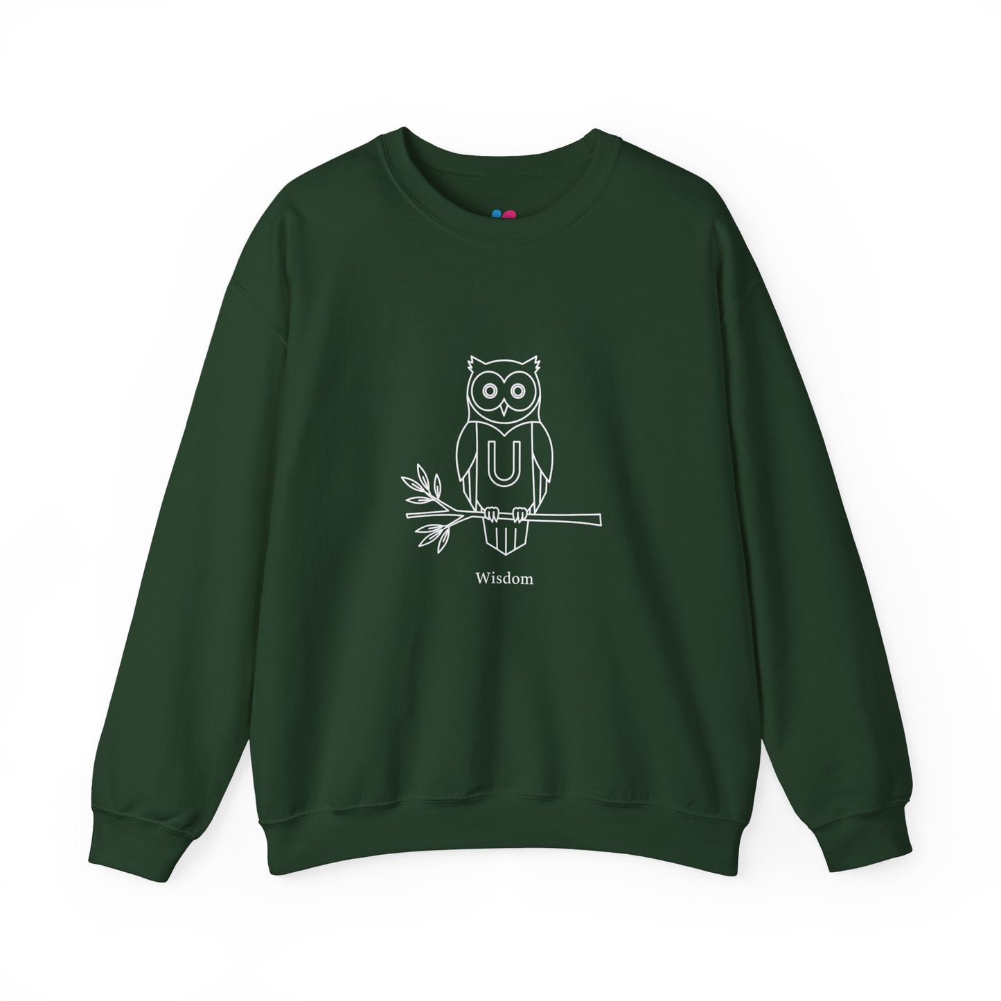 Owl-Themed Unisex Sweatshirt – Cozy Fall Crewneck, Nature Lover Pullover, Relaxed Fit Everyday Apparel