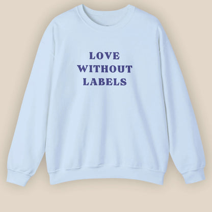 Flat lay of Love Without Labels inclusive slogan embroidered unisex crewneck sweatshirt in light blue color by ToldPrint
